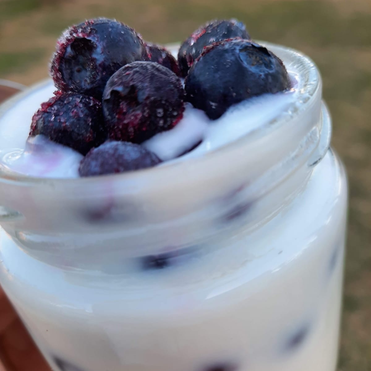 Yogur Casero
